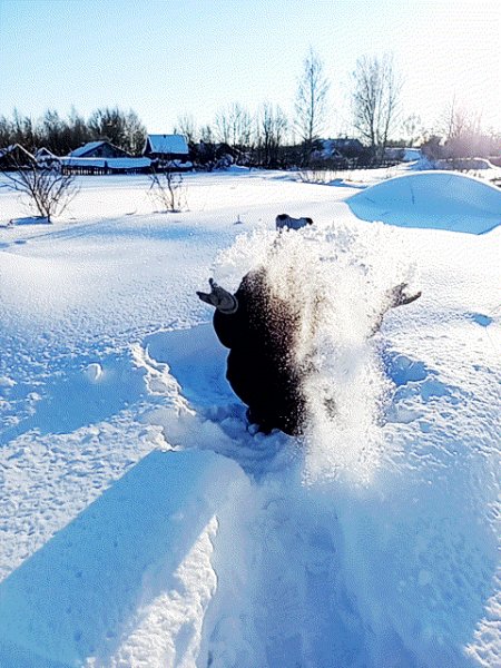 Моё волшебство