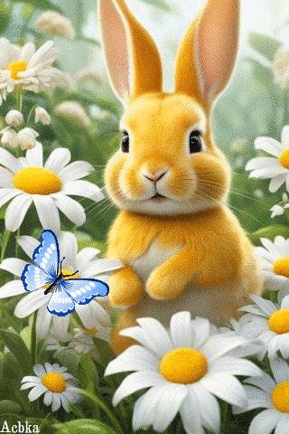 file_97131822