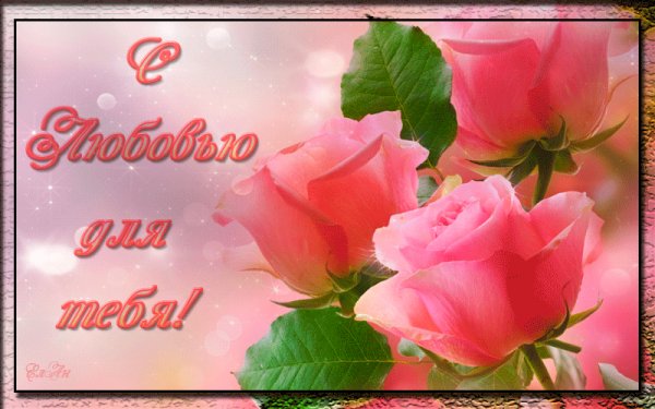 0 134524 6cc9d478 orig