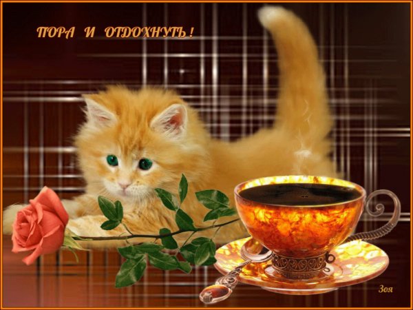Пора и отдохнуть!