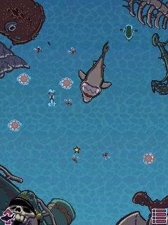 shark-or-die-240x320-s40