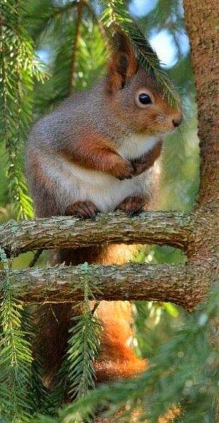 FB IMG 1714515302747