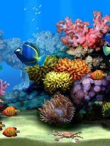 Aquarium1.swf