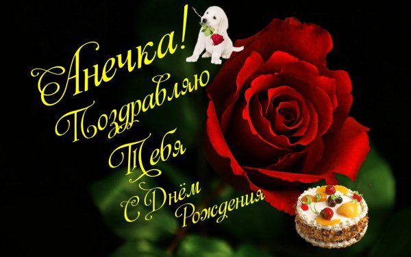 Анечка с Днём рождения...