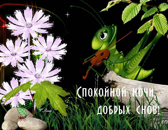 Анимированная открытка спокойной ночи (1) (1)