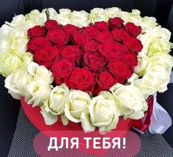 FB IMG 16752429310575007