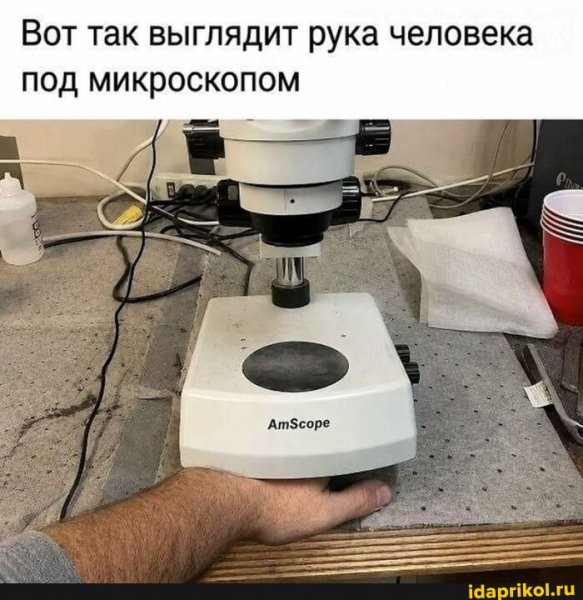 B95cc0310fe0c0bed15ec4021924e15cc11f8e48a11b 1
