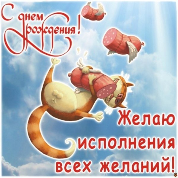 file_81297603