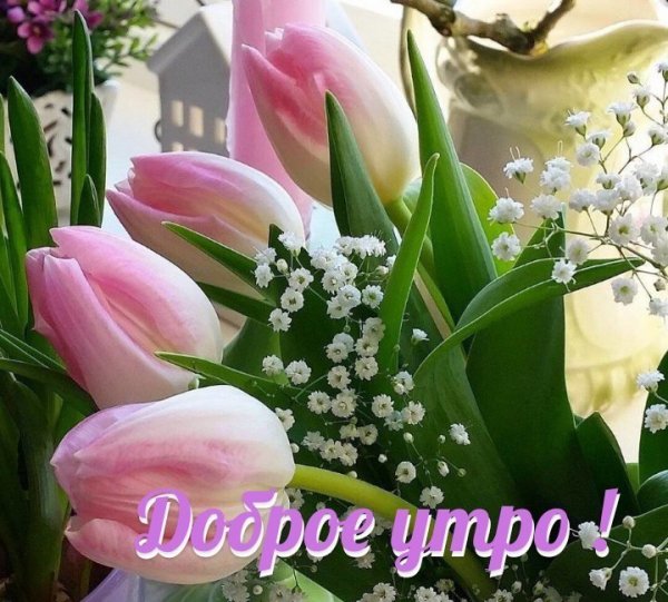 lNQbinNh5MY