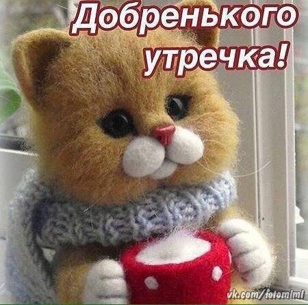 zwT0L8bozu8
