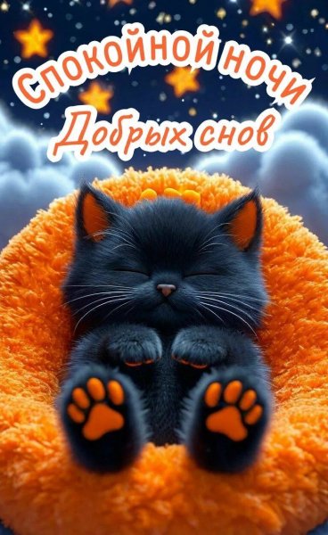 IMG 20260304 220547 445