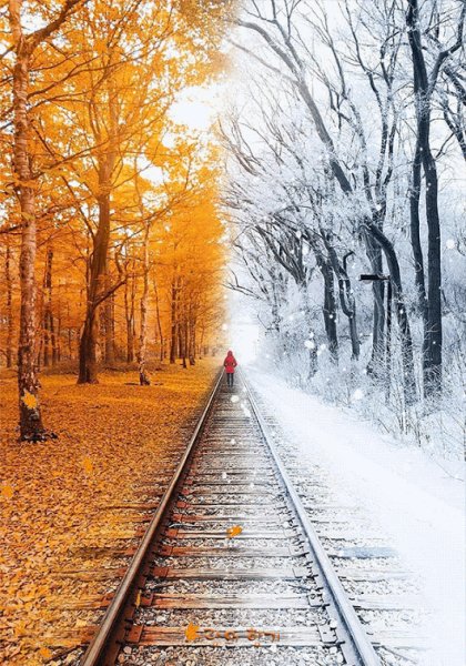 image 861212181315263120200