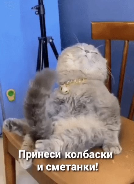 IMG 20220608 184152