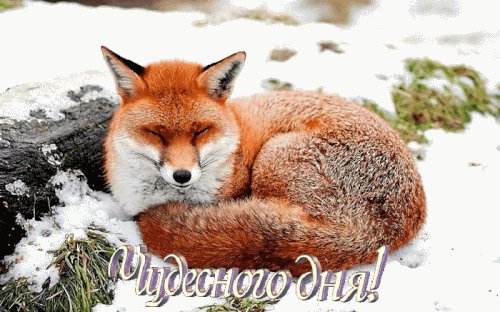 Чудесного дня!