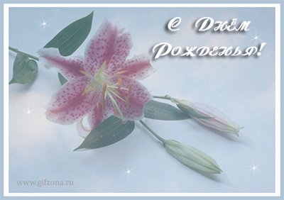 С днем рождения