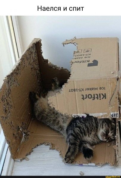 5ea6679e4b2380247472af433d7c59b0a1fb2c0d2e 1