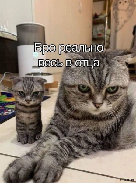 FB IMG 1775193067349