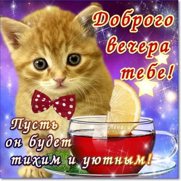IMG 20181228 085964
