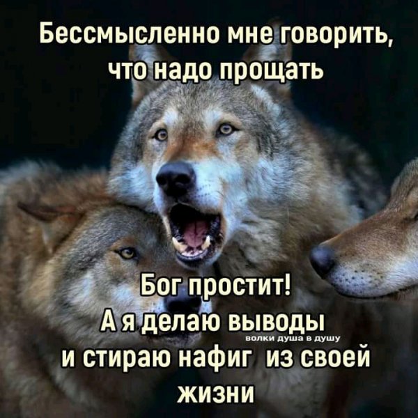 FB IMG 16375335699027389