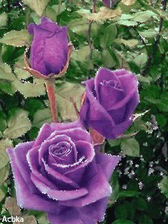 file_59422593
