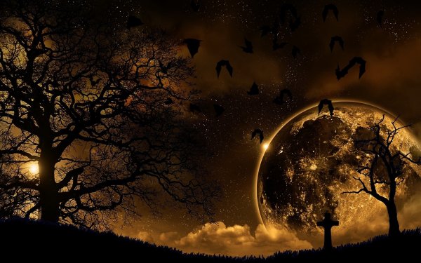 Wallpapers 6070