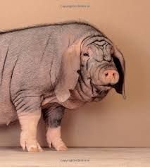 Dba208a6bca74ae0cecc111595aca873