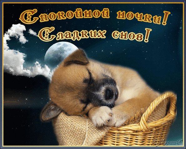Спокойной ночки! Сладких снов!