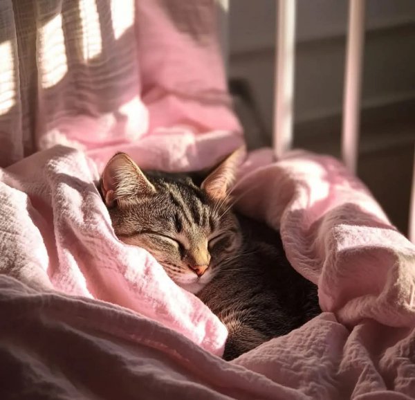 FB IMG 1774387826521