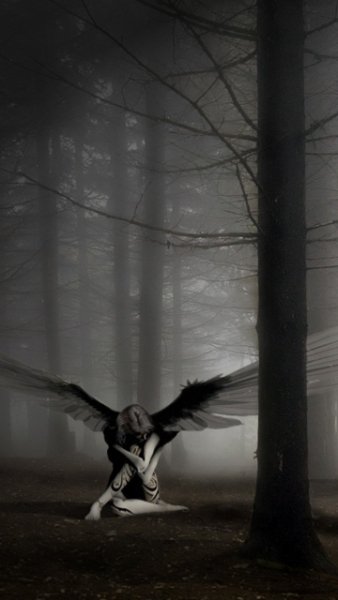 Wall0016