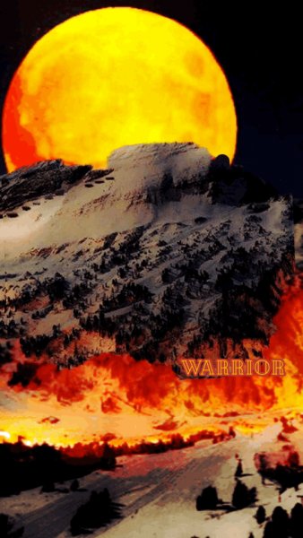 de249deb436182b57691d399