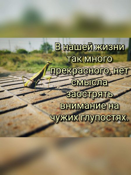 IMG 20240915 205555
