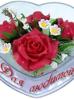 file_13445464