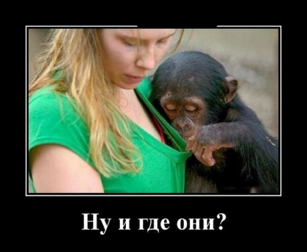 Ну и где они?