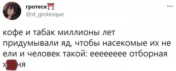 IMG-20230706-WA0007