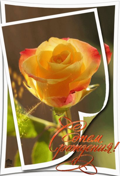 fef0a7aff675f4573ec75e0c8e05c74b