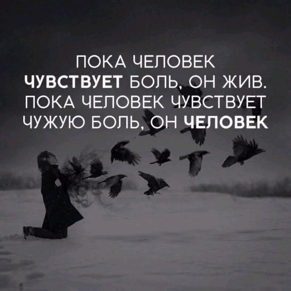file_101394937