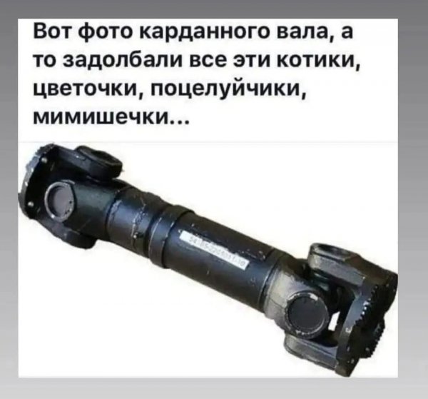 FB IMG 1774387081854