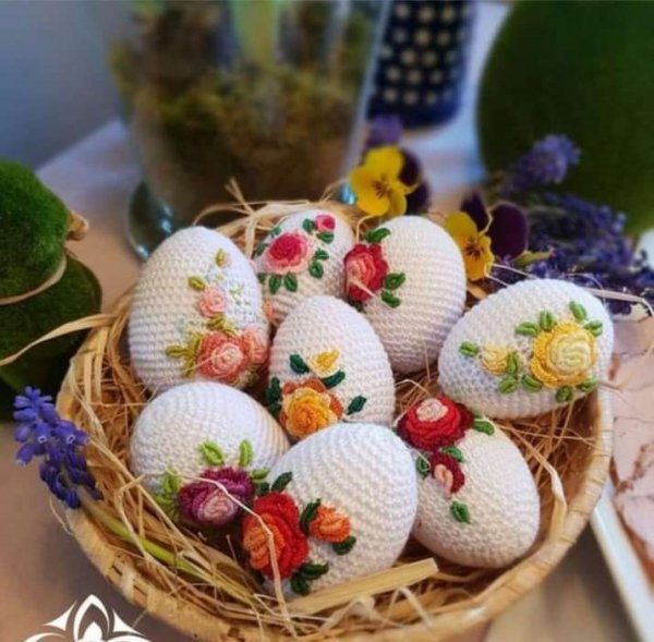 Img 10 1712343219292