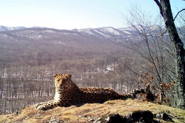 a48ab3f7d968af5e4bc8cbb8803