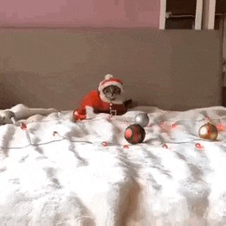 Котэ -мороз