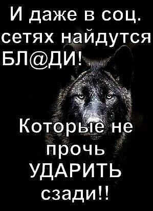 IMG 20260121 144321