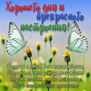 IMG 20181114 061059 139