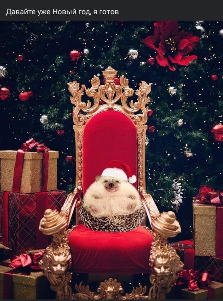 Давайте уже Новый год