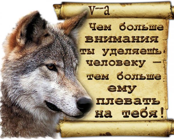 IMG 20170722 230719 0