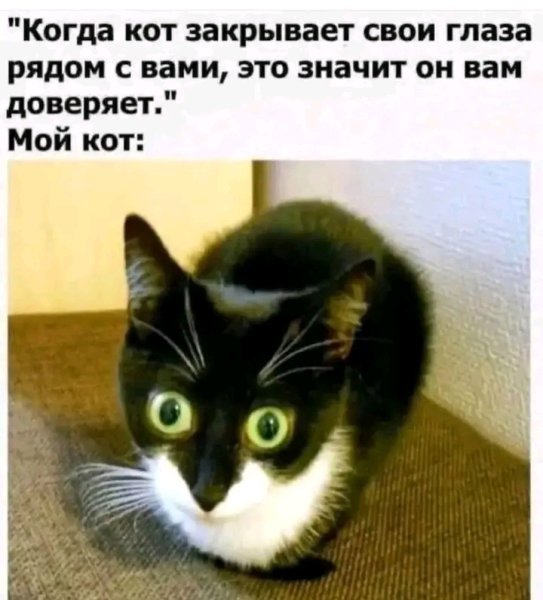 file_103156791