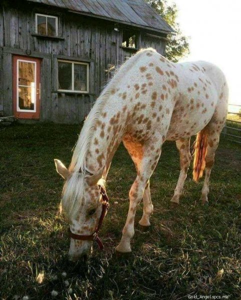file_80577368