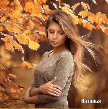 file_83629204