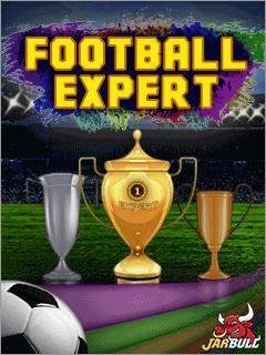 (Rus) Football Expert 176x220