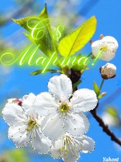 file_45997714