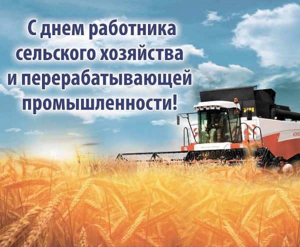 file_94738050